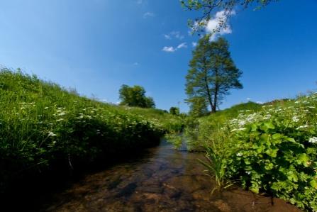 Knobleharjevo 2012 - Fotografski natečaj Občine Škocjan 2012 1
